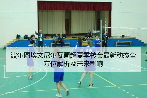 波尔图埃文尼尔瓦葡超夏季转会最新动态全方位解析及未来影响